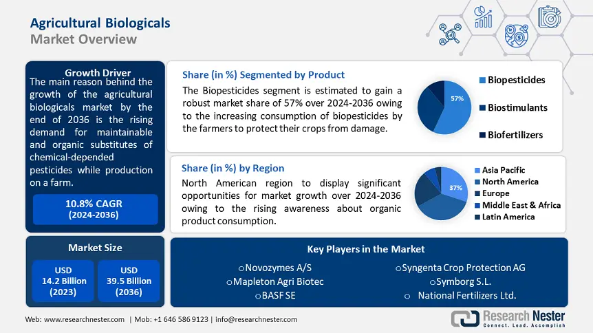 Agriculture Biologicals Market Overview